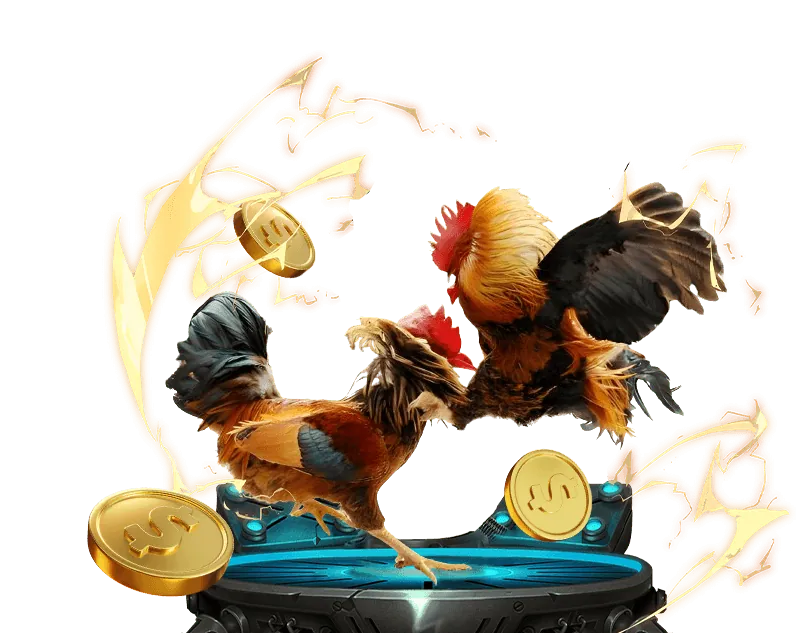 Giấy phép và Quy định